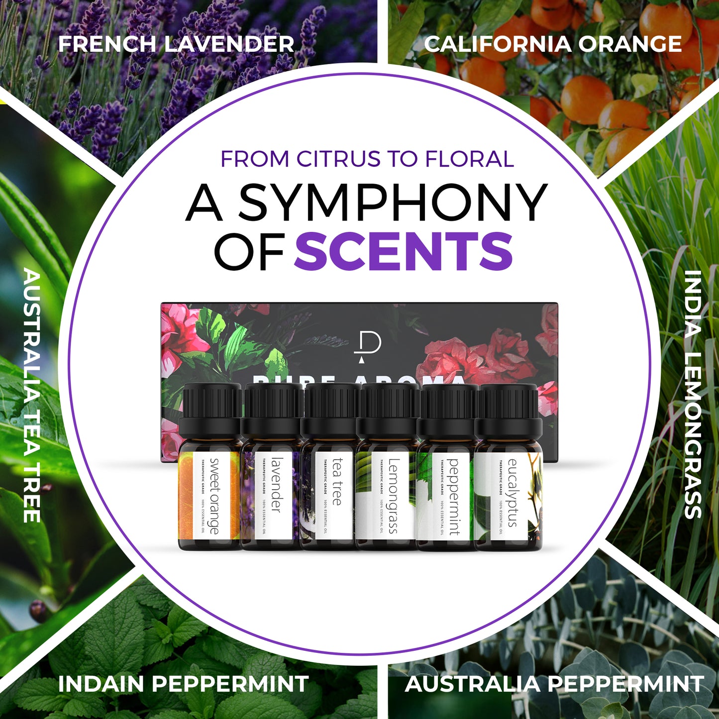 Pure Aroma Essential Oil Set – 100% Natural & Therapeutic