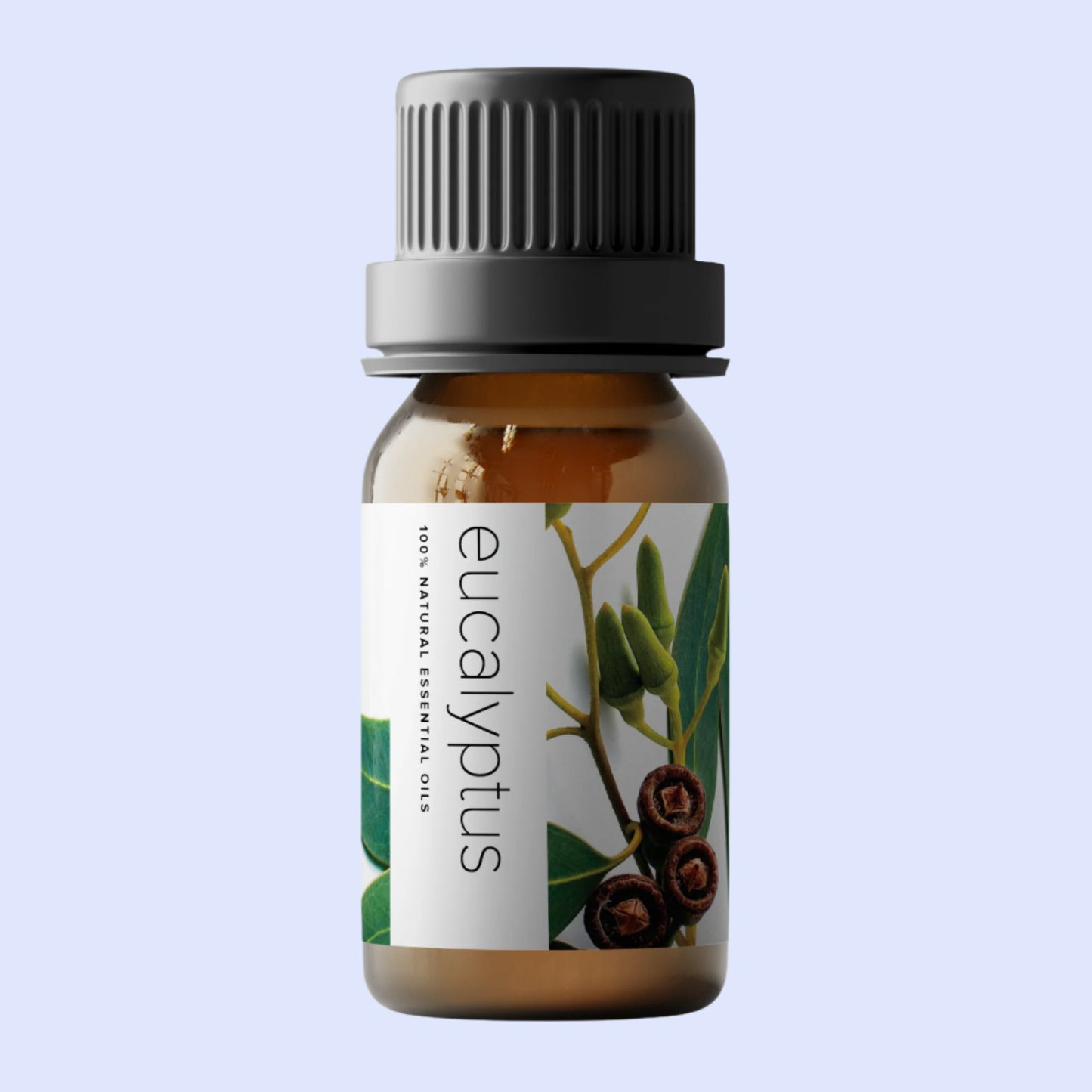 Eucalyptus Essential Oil – 100% Natural – 10ml