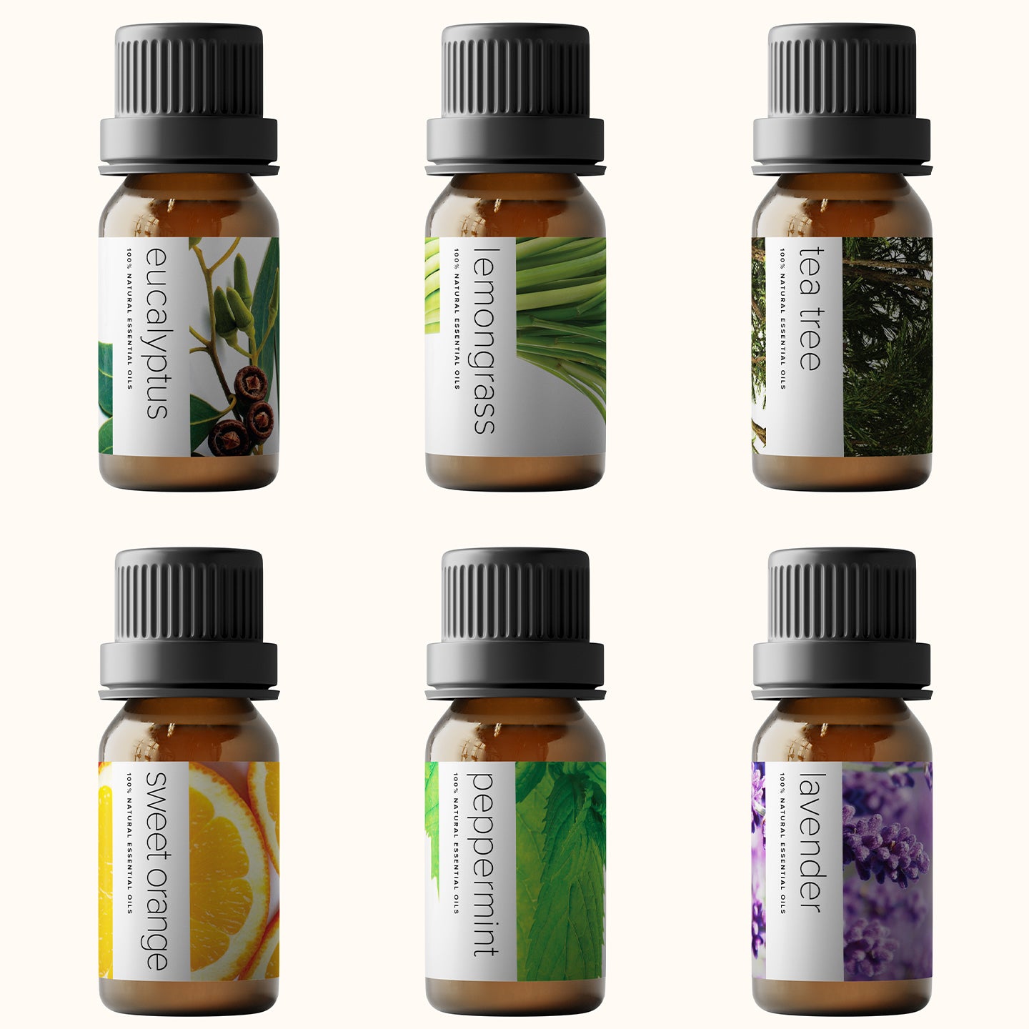 PURE AROMA Essential Oils Top 6 Aromatherapy Oils in 1 Box (10 Ml) Pure Aroma