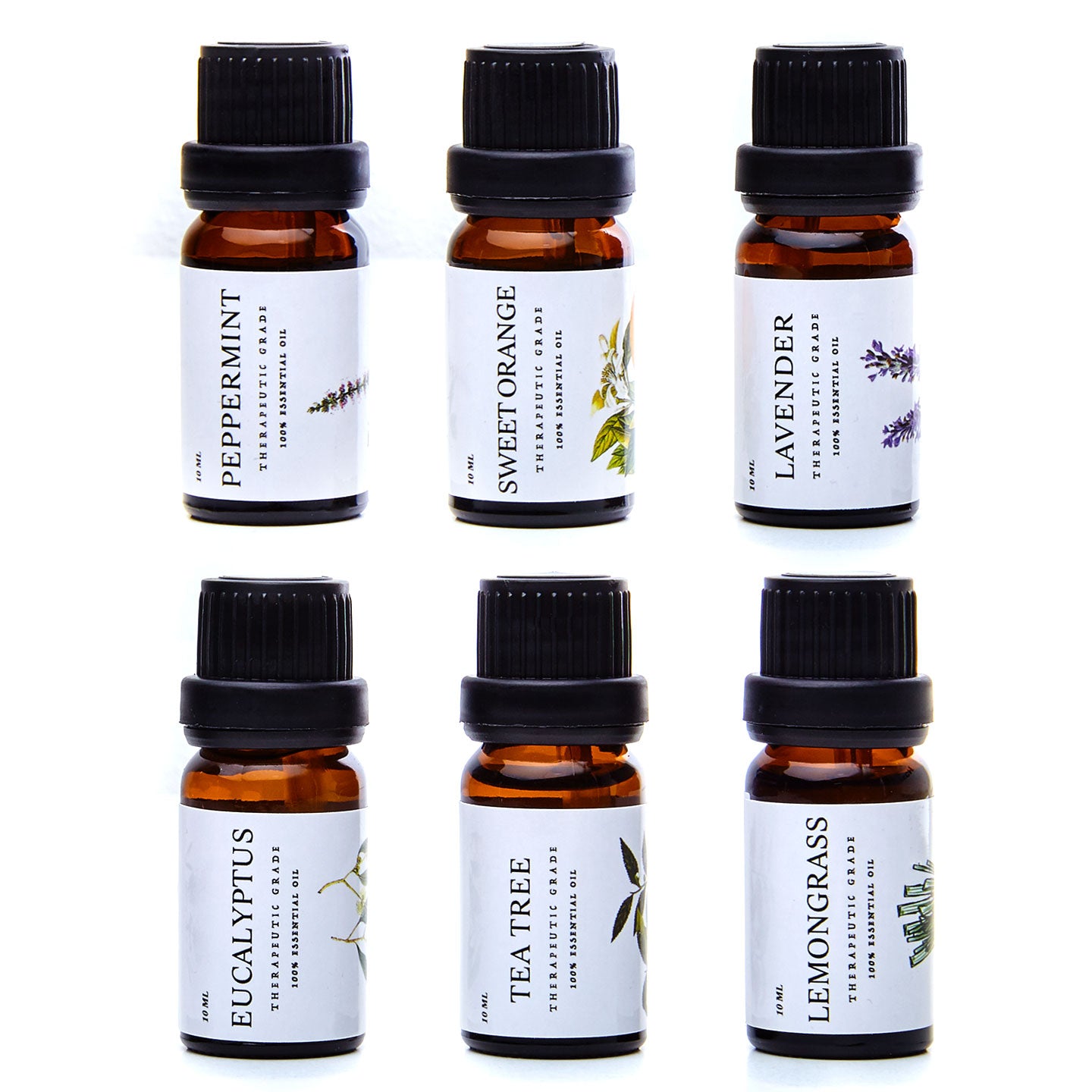 PURE Essentials Oils - Top 6 Aromatherapy Oils in 1 Box (10 Ml)